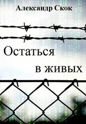 Александр Скок - Остаться в живых