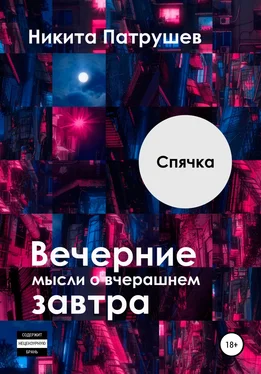 Никита Патрушев Вечерние мысли о вчерашнем завтра. Спячка обложка книги