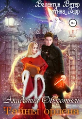 Валентин Ветер - Академия оборотней. Тайны ордена