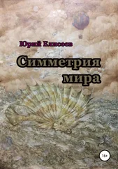 Юрий Елисеев - Симметрия мира