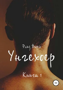 Элиз Вюрм Унгехоер. Книга 1 обложка книги