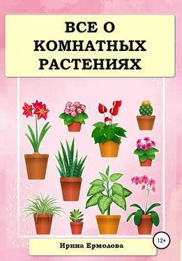 Ирина Ермолова Все о комнатных растениях обложка книги