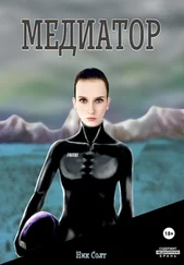 Ник Солт - Медиатор