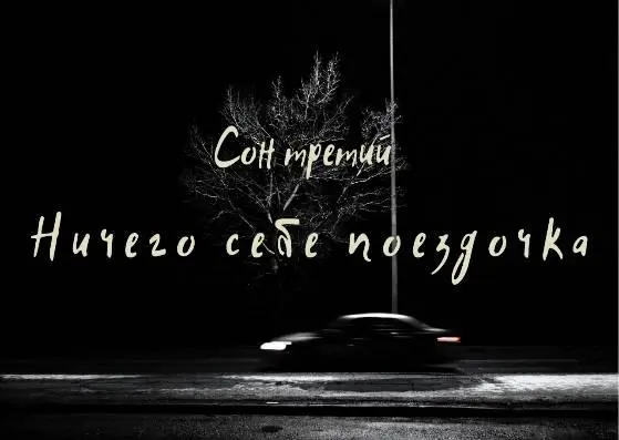 Тусклый свет фонаря пробегает по боингоподобному салону и сменяется полумраком - фото 3