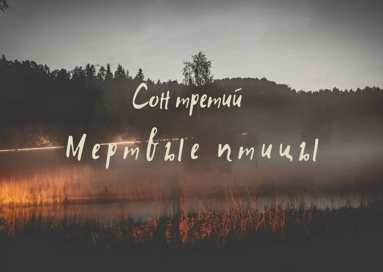 1 Я не выспался Как говорится мой кофе срочно нуждается в кофе 2 в первую - фото 3