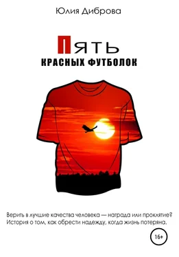 Юлия Диброва Пять красных футболок обложка книги