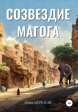 Катя Березуля Созвездие Магога обложка книги