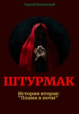 С. В. Каменский Штурмак. История вторая: «Пламя в ночи» обложка книги