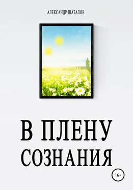 Александр Шаталов В плену сознания обложка книги