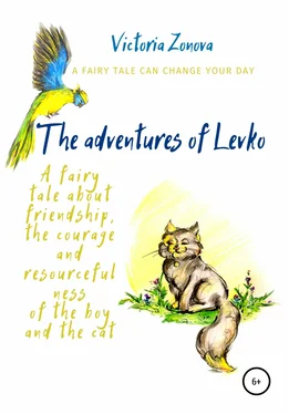 Виктория Зонова The adventures of Levko. Fairy tale обложка книги