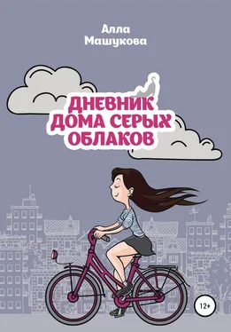 Алла Машукова Дневник дома серых облаков обложка книги