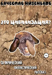 Вячеслав Низеньков - Это цивилизация?