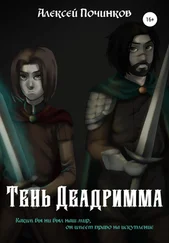 Алексей Починков - Тень Деадримма