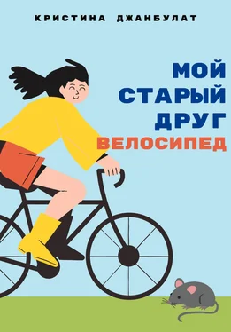 Кристина Джанбулат Мой старый друг велосипед обложка книги