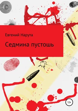 Евгений Нарута Седмина пустошь обложка книги