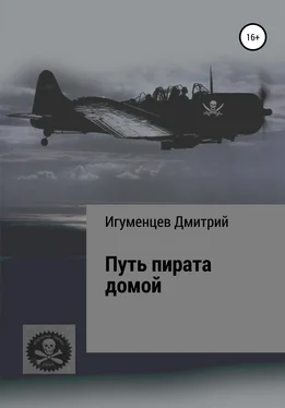 Дмитрий Игуменцев Путь пирата домой обложка книги