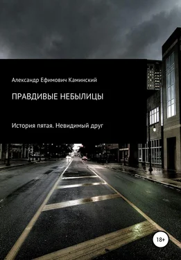 Александр Каминский Правдивые небылицы. История пятая. Невидимый друг обложка книги