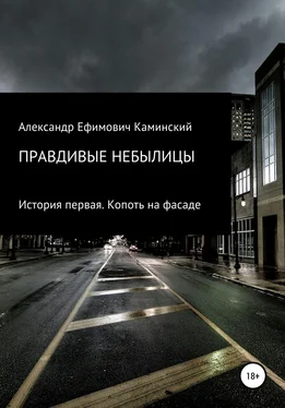 Александр Каминский Правдивые небылицы. История первая. Копоть на фасаде обложка книги