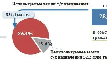 Здесь же в презентации объяснение Итак мы видим что именно коллективные - фото 13