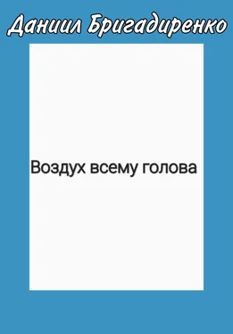 Даниил Бригадиренко Воздух всему голова обложка книги