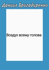 Даниил Бригадиренко - Воздух всему голова