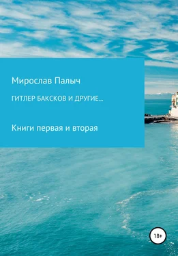 Мирослав Палыч Гитлер, Баксков и другие… Книги первая и вторая обложка книги