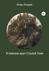 Игорь Лопарев - В поисках врат Стылой Тени