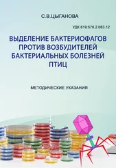 Светлана Цыганова - Выделение бактериофагов против возбудителей бактериальных болезней птиц. Методические рекомендации
