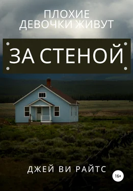 Джей Ви Райтс Плохие девочки живут за стеной обложка книги