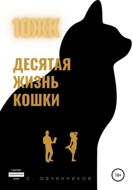 Сергей Овчинников 10 ЖК. Десятая жизнь кошки обложка книги