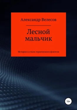 Александр Велесов Лесной мальчик обложка книги