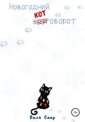Валя Саар - Новогодний котоворот