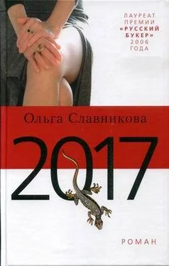 Ольга Славникова 2017 обложка книги