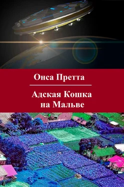 Онса Претта Адская Кошка на Мальве обложка книги