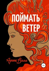 Арина Вилль - Поймать ветер