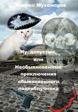 Феликс Мухоморов Ну, допустим, или необыкновенные приключения обыкновенного подкаблучника обложка книги