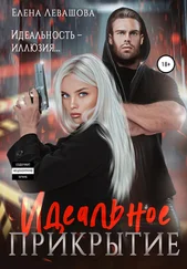 Елена Левашова - Идеальное прикрытие