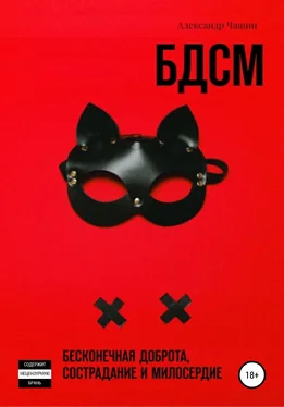 Александр Чащин БДСМ. Бесконечная доброта, сострадание и милосердие обложка книги