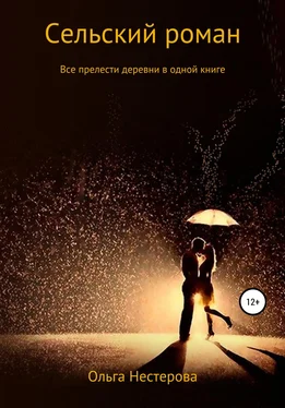 Ольга Нестерова Сельский роман обложка книги
