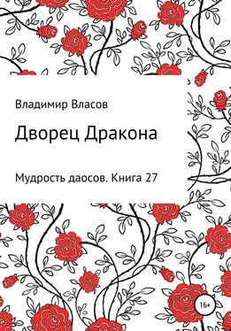 Владимир Власов Дворец Дракона обложка книги