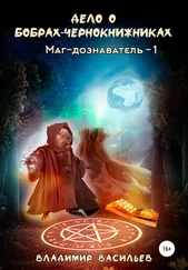 Владимир Васильев - Дело о бобрах-чернокнижниках. Маг-дознаватель – 1