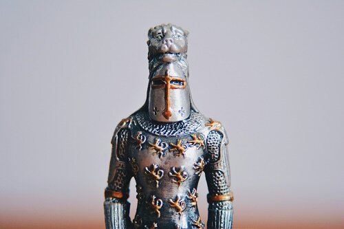 Снаружи рыцарь и любитель кошек А внутри 13 38 Мы утешаемся видами - фото 19