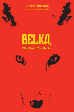 Hideo Furukawa Belka, Why Don't You Bark?