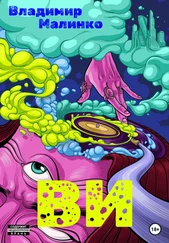 Владимир Малинко - ВИ