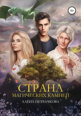 Алёна Петрачкова Страна магических камней обложка книги