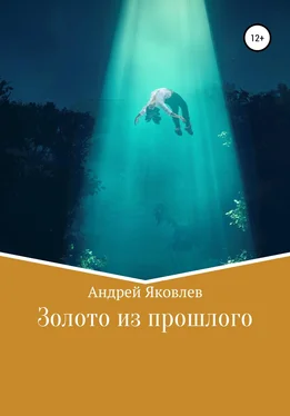 Андрей Яковлев Золото из прошлого обложка книги