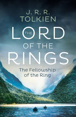 J. tolkien The Fellowship of the Ring обложка книги