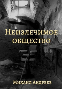 Михаил Андреев Неизлечимое общество обложка книги