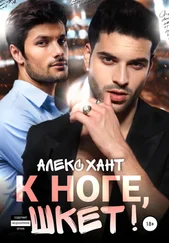 Алекс Хант - К ноге, шкет!