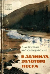 Леонид Гейман - В долинах золотого песка